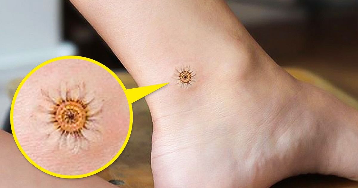 25+ Tatouages de la taille d’un ongle qui sont incroyablement détaillés 25+ Tatouages de la taille d’un ongle qui sont incroyablement détaillés