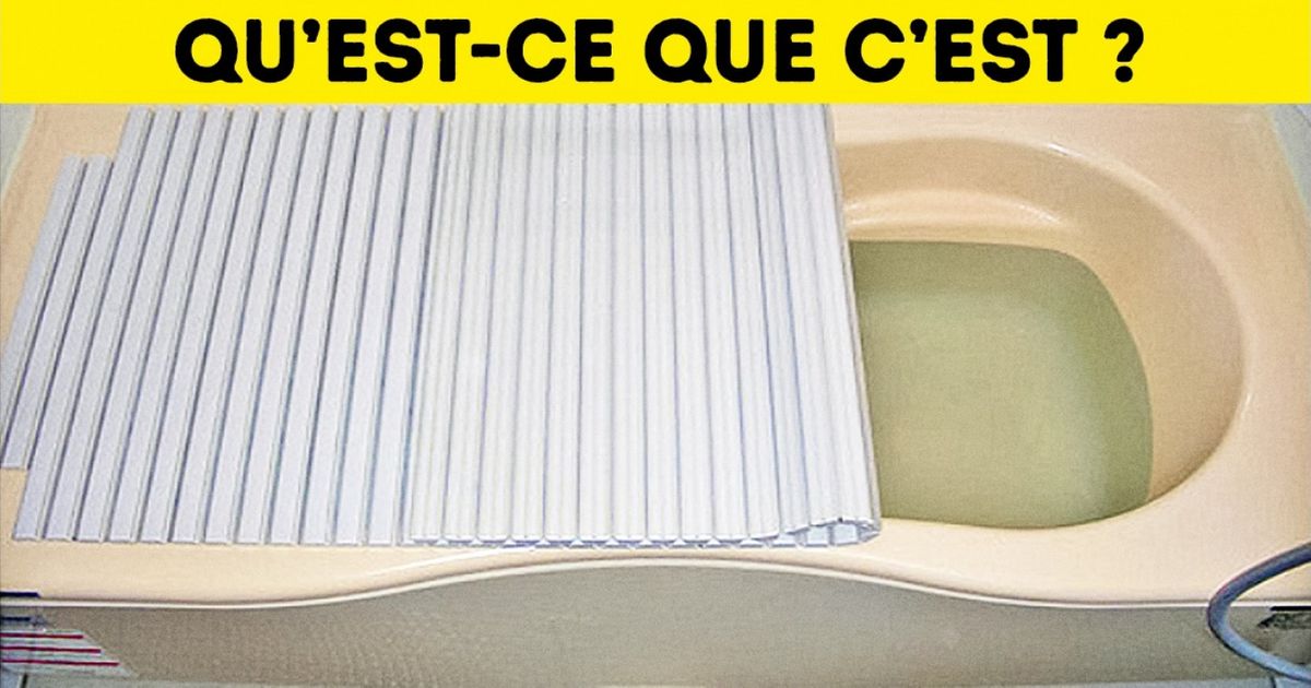 Cette petite fille de neuf ans nous montre à quoi ressemblent les salles de bain “intelligentes” au Japon
