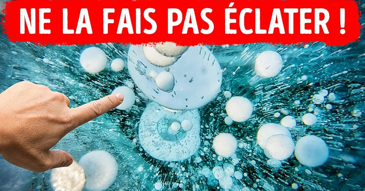 Si Tu Aperçois Ces Bulles Gelées, N’y Touche Surtout Pas