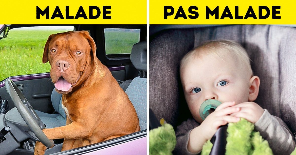 Pourquoi es-tu malade en voiture et comment y remédier ?