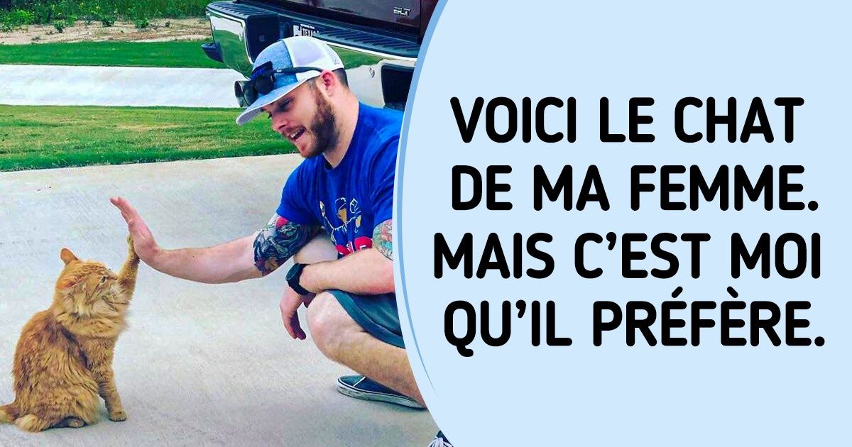 20 Animaux qui ont trouvé leur véritable âme sœur chez des humains