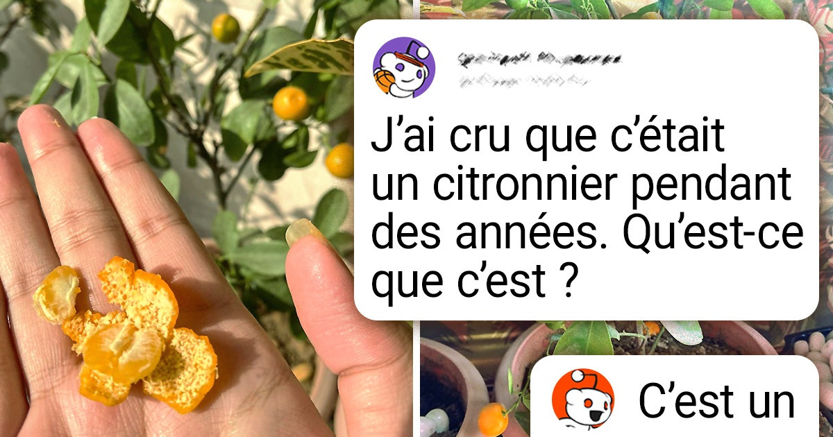 13 Bizarreries de la nature qui ont perturbé les internautes