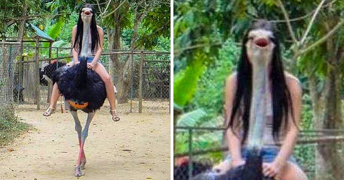 23 Photos d’animaux qui ont été prises au moment parfait