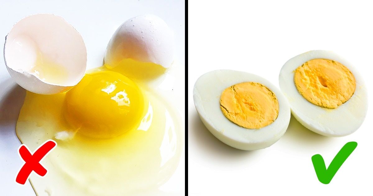 Découvre ces 10 aliments inoffensifs pour les humains qui peuvent faire du mal à ton animal de compagnie
