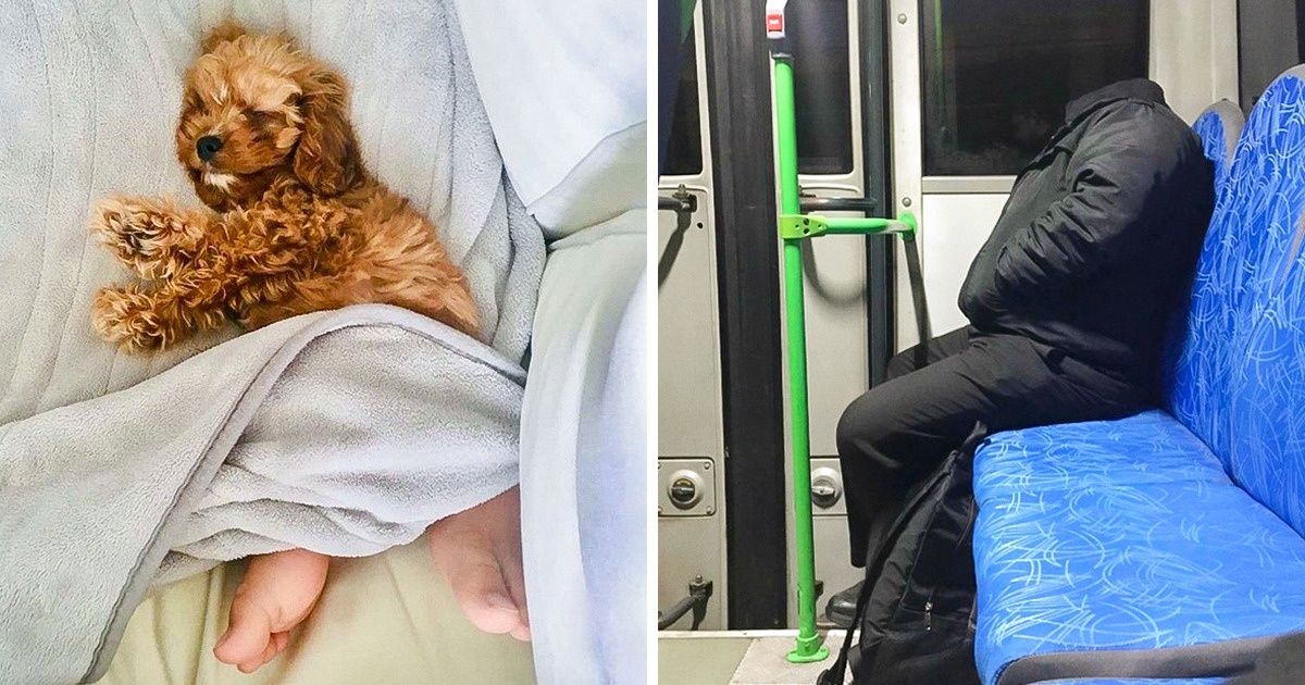 17 Photos qu’il faut regarder deux fois pour comprendre 17 Photos qu’il faut regarder deux fois pour comprendre
