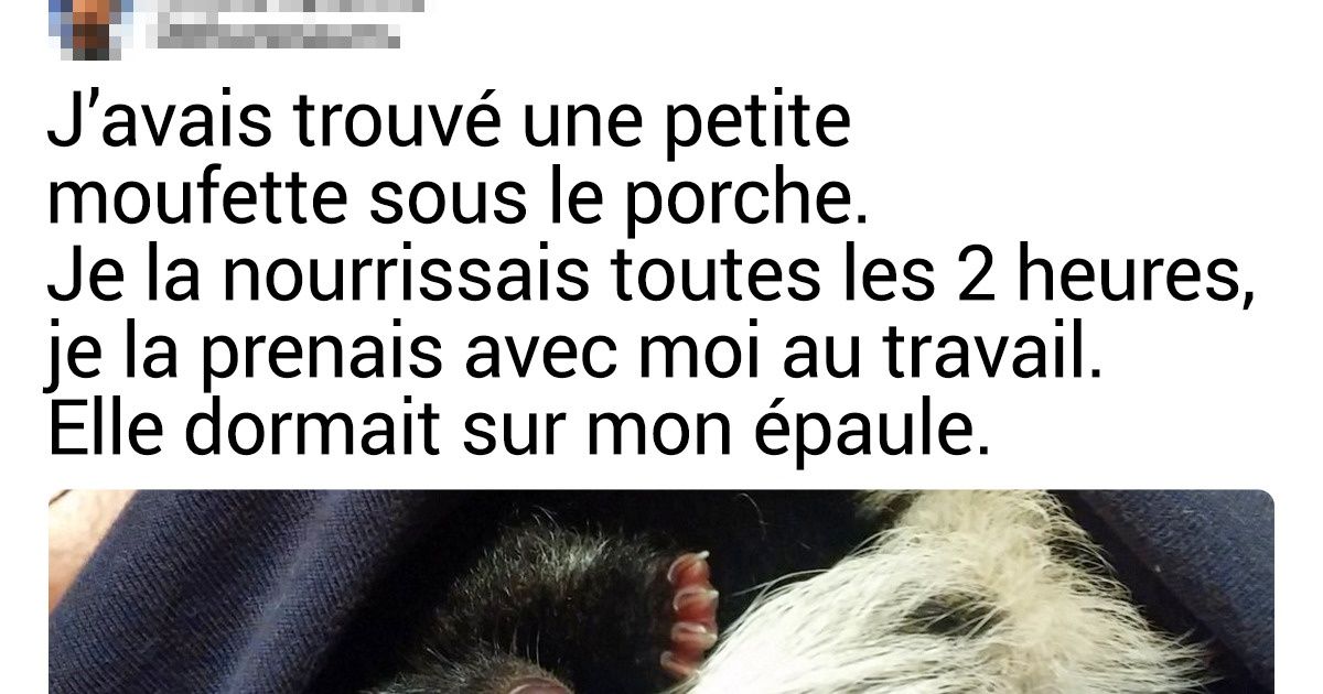 20+ Bébés animaux que tu auras du mal à oublier après les avoir rencontrés