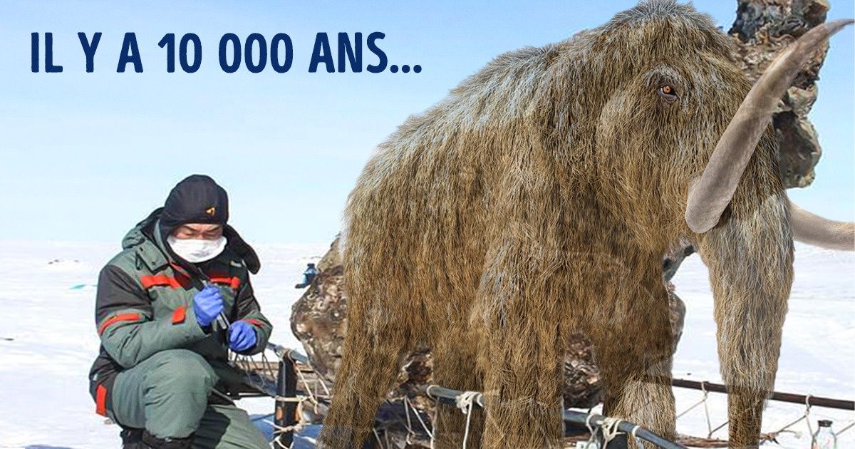 9 Objets perdus dans la glace qui ont surpris les scientifiques