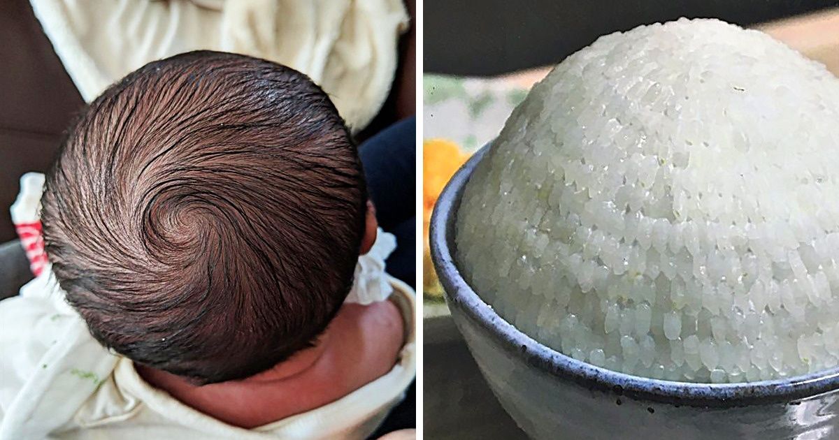 21 Photos qui démontrent que la perfection existe, il suffit juste de savoir la trouver