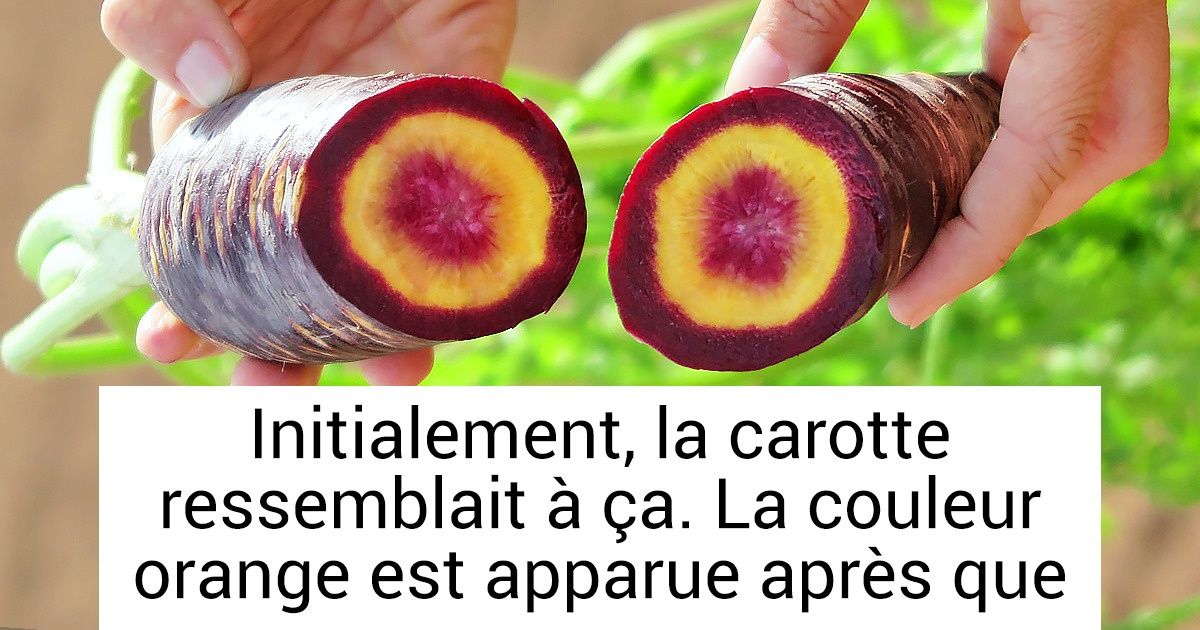 40+ Faits réels auxquels il est difficile de croire du premier coup