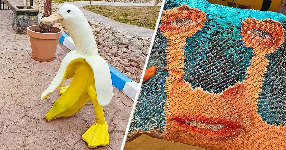 18 Objets qui nous font regarder à deux fois avant d’acheter un accessoire