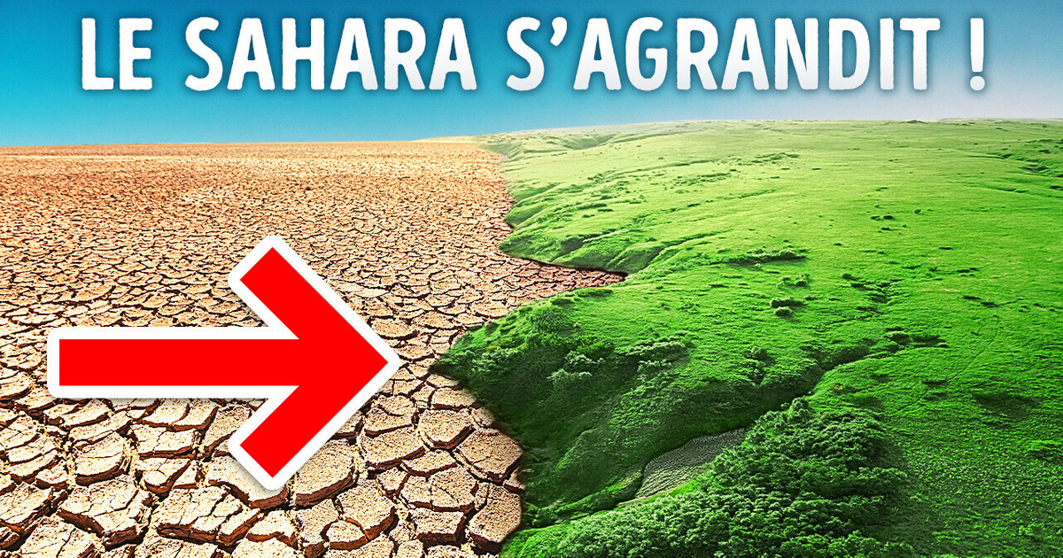 Le Sahara Grandit et Mange Lentement les Terres Vertes