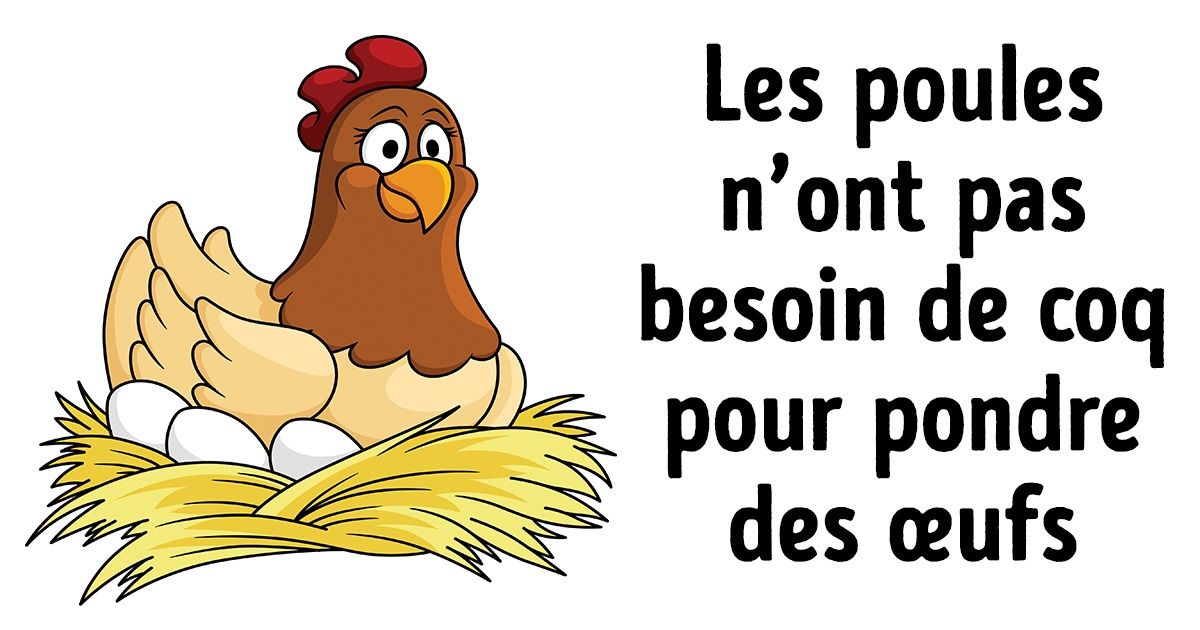 20 Faits très simples auxquels peu de personnes avaient pensé jusque-là 20 Faits très simples auxquels peu de personnes avaient pensé jusque-là