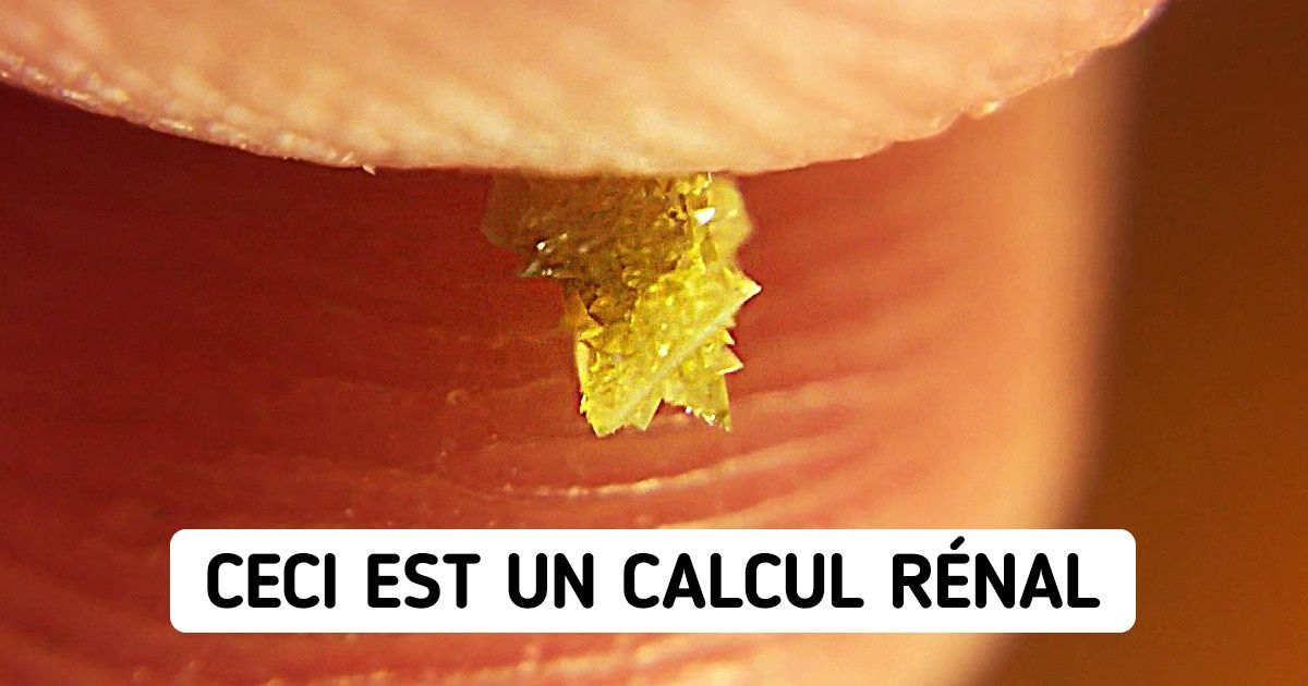 25 Curiosités que peu de gens ont vues de leurs propres yeux