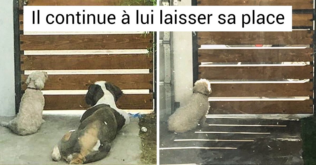 18 Photos sur la solitude qui te donneront envie d’enlacer leurs protagonistes (ainsi que le reste du monde) 18 Photos sur la solitude qui te donneront envie d’enlacer leurs protagonistes (ainsi que le reste du monde)