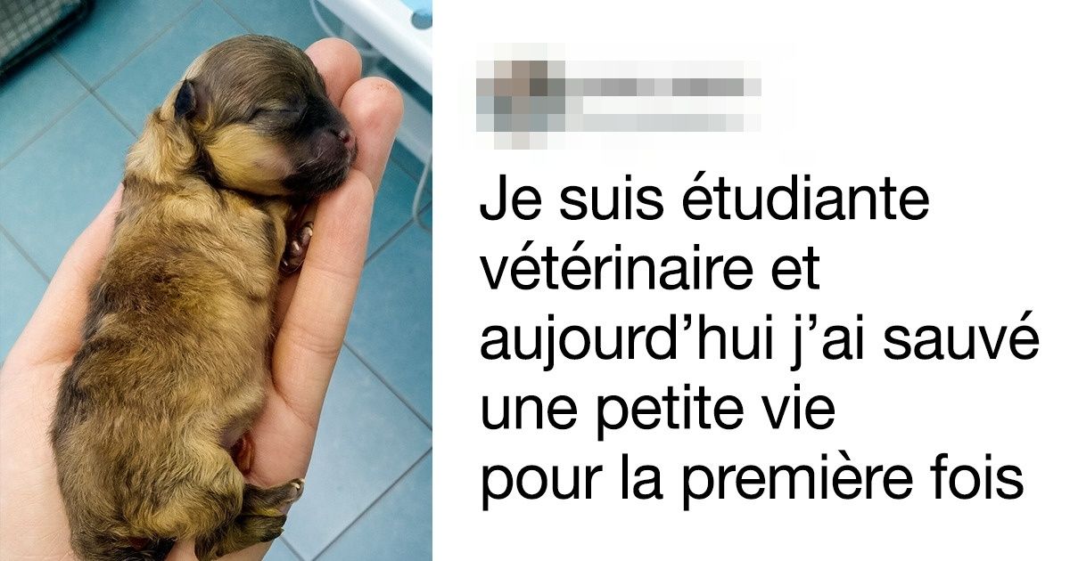 20+ Preuves que le travail de vétérinaire est fait pour les personnes qui ont un grand cœur 20+ Preuves que le travail de vétérinaire est fait pour les personnes qui ont un grand cœur