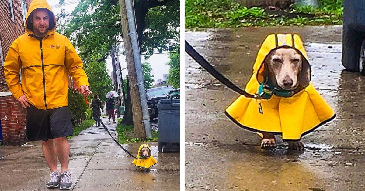 20 Personnes qui feraient tout pour leur animal de compagnie 20 Personnes qui feraient tout pour leur animal de compagnie