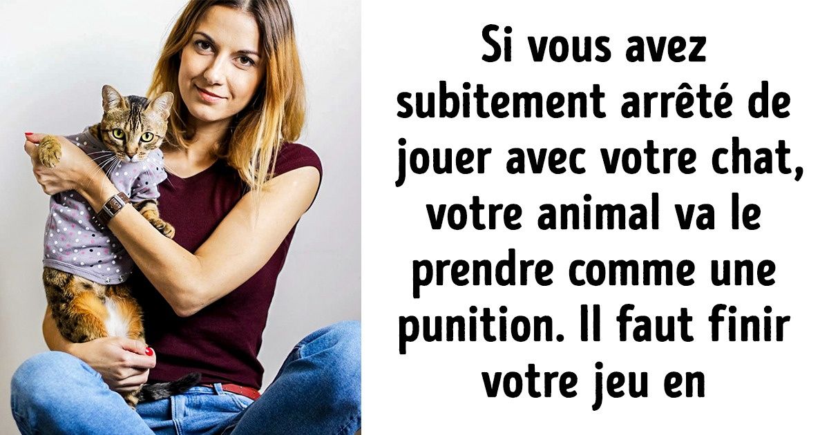 10 Faits sur le caractère et le comportement des chats, que nous a raconté un comportementaliste animalier 10 Faits sur le caractère et le comportement des chats, que nous a raconté un comportementaliste animalier