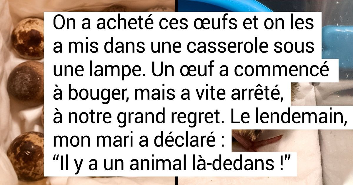 17 Preuves que c’est toujours la vie qui gagne