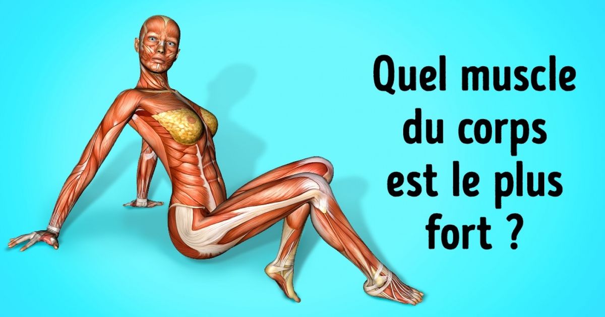 Test : découvre si tu es capable de répondre à ces 16 questions comme n’importe quel élève de primaire !