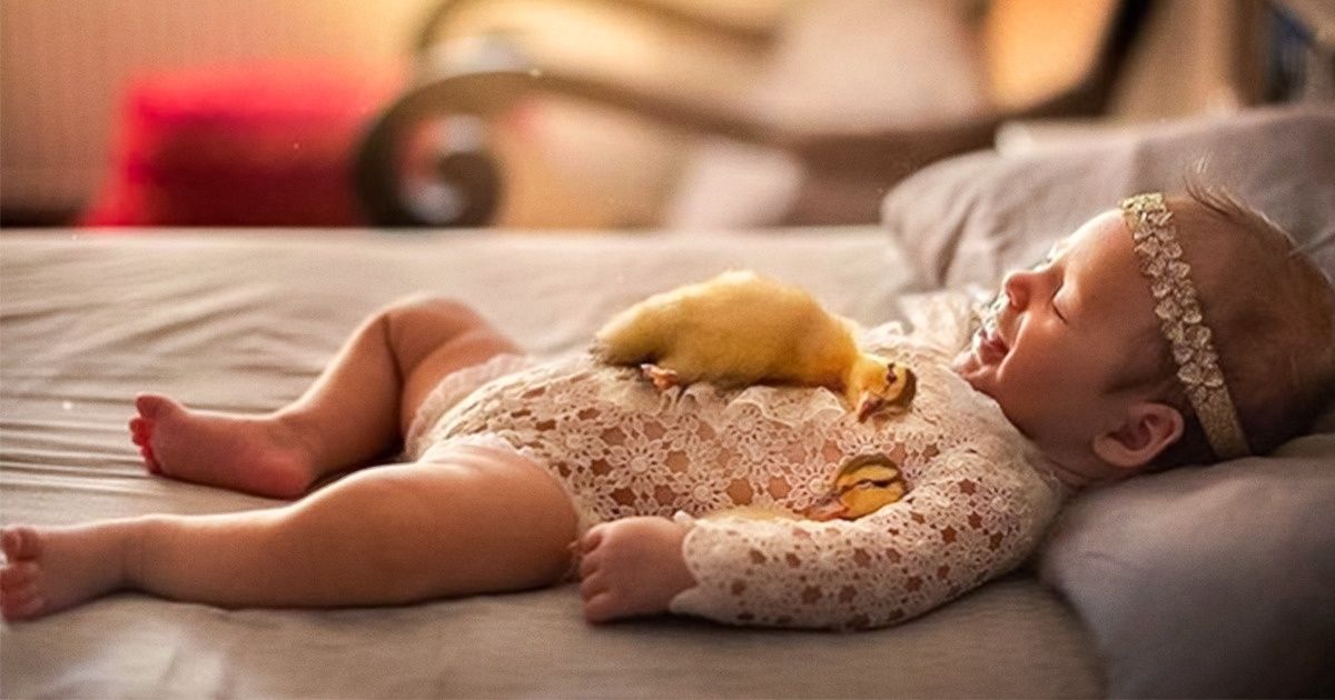 Cet artiste anglais photographie des nouveau-nés blottis contre des animaux, et les images sont tout simplement adorables