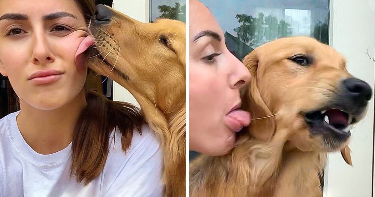 Cette photographe britannique fait fureur sur la toile avec ses chiens Cette photographe britannique fait fureur sur la toile avec ses chiens