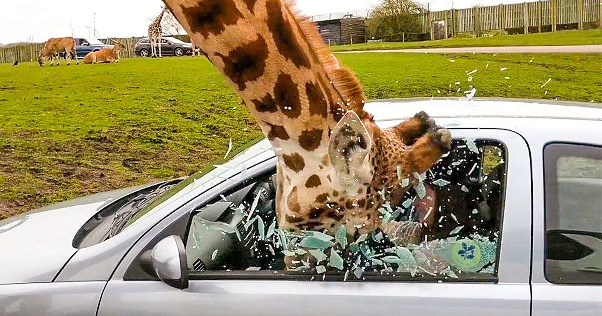 18 photos qui vont te donner envie de savoir ce qui s’est réellement passé