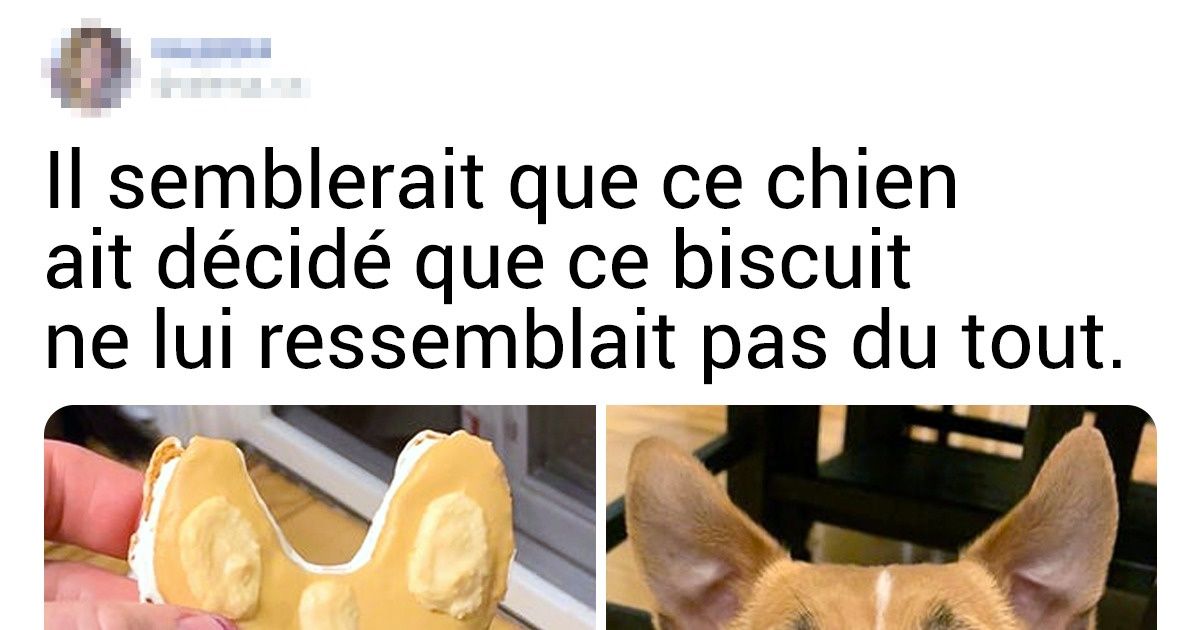 20+ Pâtissiers amateurs dont les créations provoquent inévitablement un léger sourire
