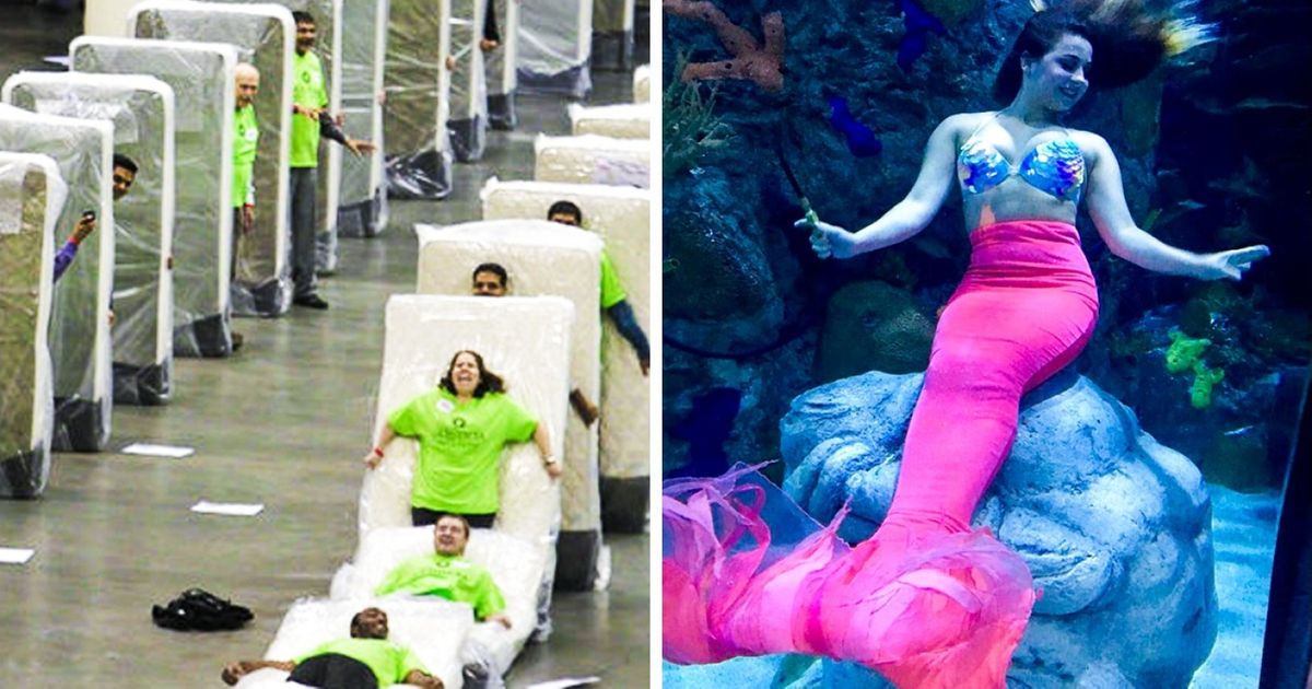 Des gens exercent réellement ces 10 incroyables métiers pour gagner leur vie
