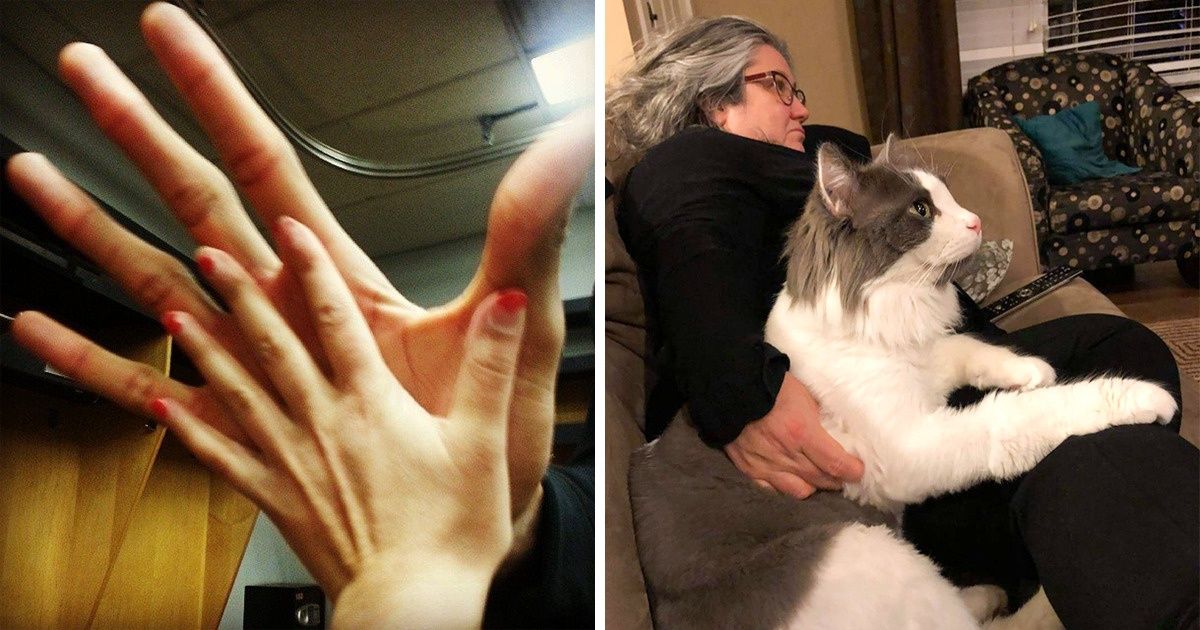 20 Comparaisons qui ont secoué la toile