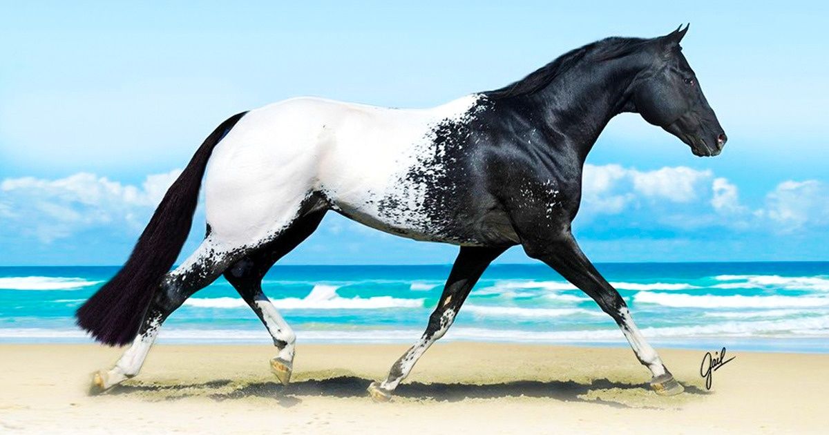 15 Animaux tellement rares qu’ils paraissent irréels