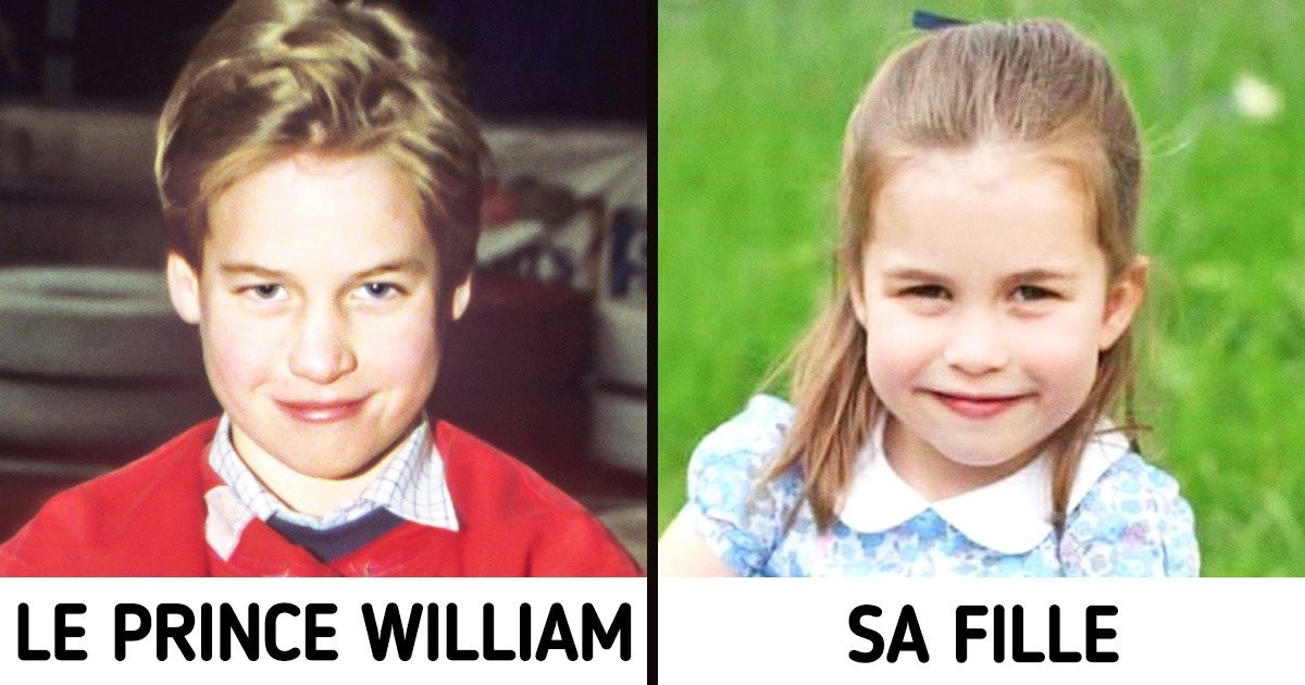 20 Photos qui ont le même effet qu’un test ADN