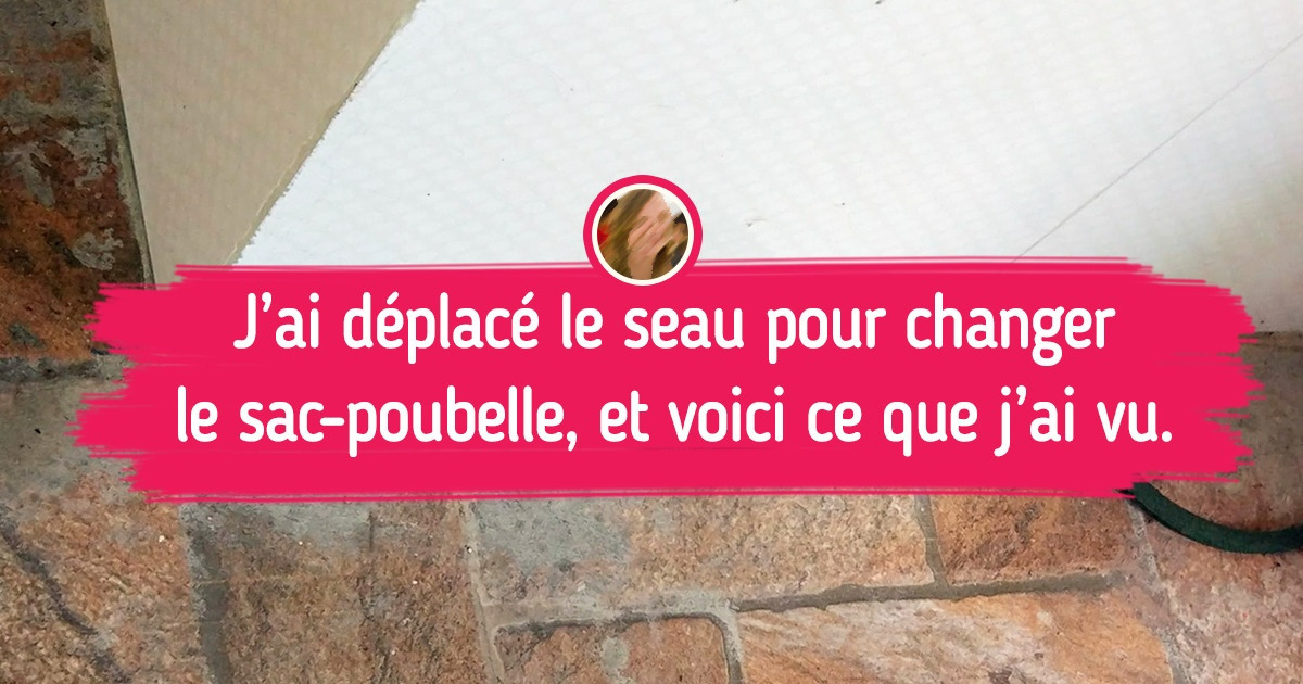 16 Rencontres inattendues qui te feront plaisir