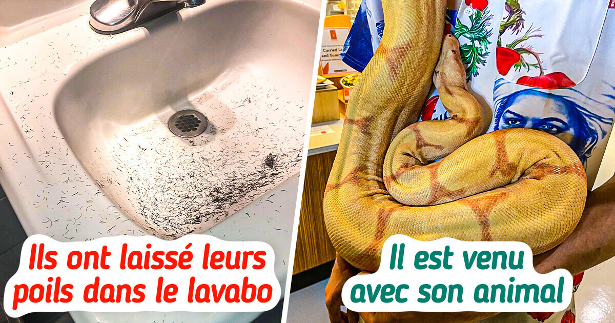 20 Clients qui ont oublié ce que c’est que d’avoir honte quand ils ont quitté leur logement