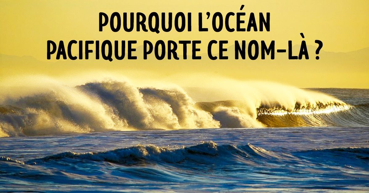 11 Questions dont tout le monde voudra connaître la réponse !