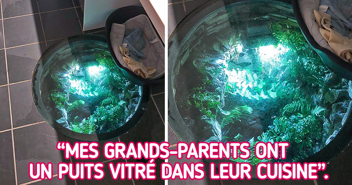 20 Personnes qui ont trouvé dans leur cuisine des objets qui semblent venir d’une autre dimension