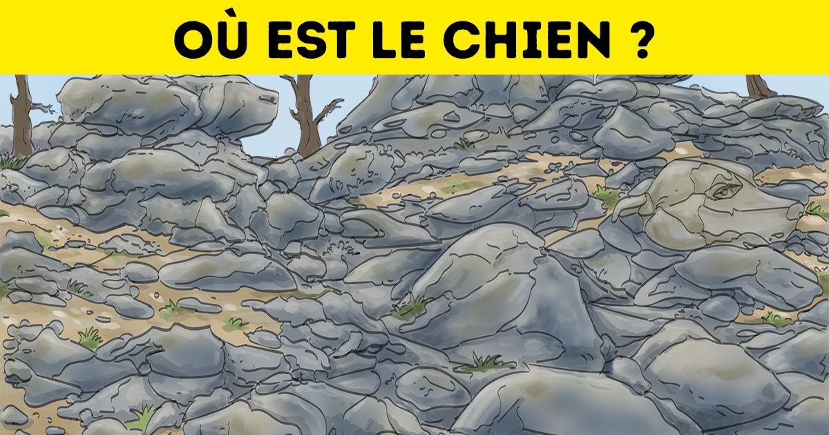 Test : exerce ton cerveau en trouvant les formes cachées dans les images