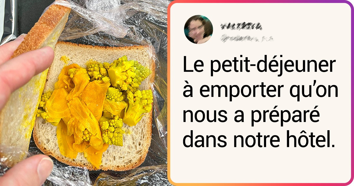 19 Personnes qui ont payé pour des plats faciles à réaliser et qui ont été fortement déçues