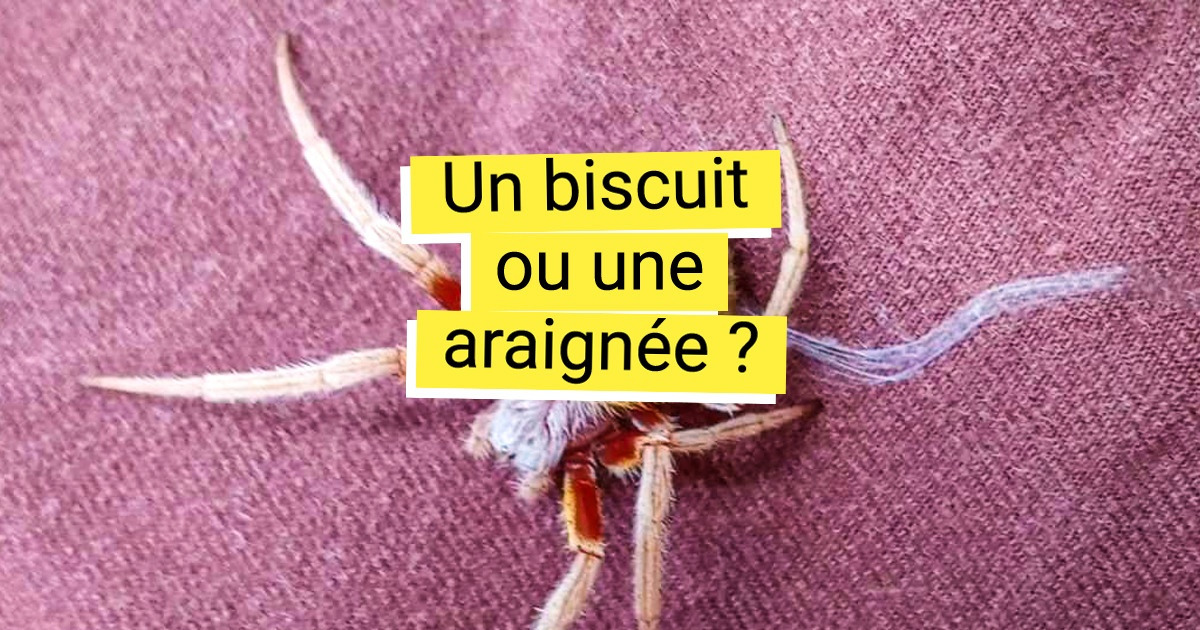 15+ Photos qui montrent à quel point les choses simples de la vie sont parfois loin d’être simples