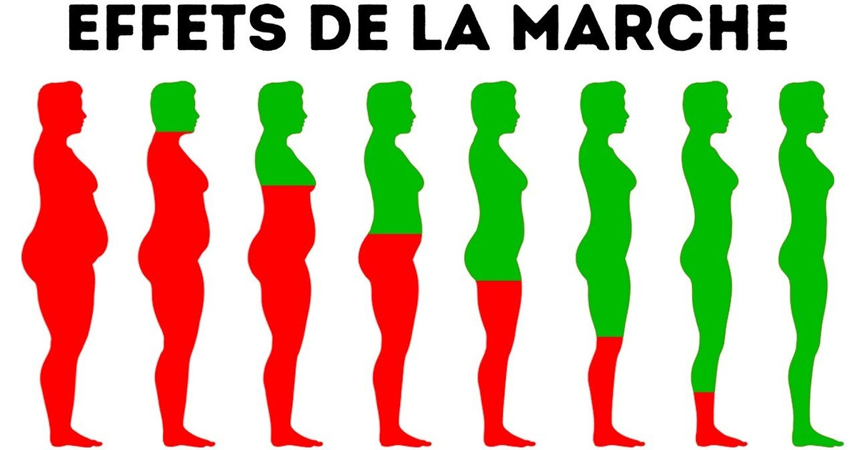 Que se Passera-t-il Dans Ton Corps si tu Marches Tous Les Jours Que se Passera-t-il Dans Ton Corps si tu Marches Tous Les Jours