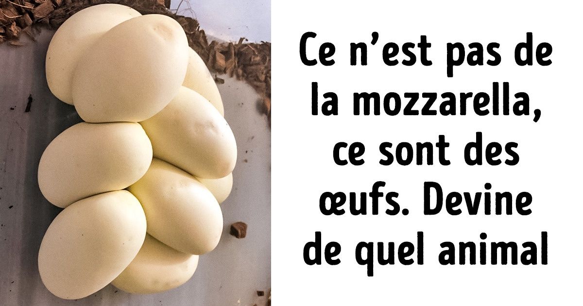 20+ Photos qui ne représentent pas de la nourriture, mais qui nous donnent tout aussi faim