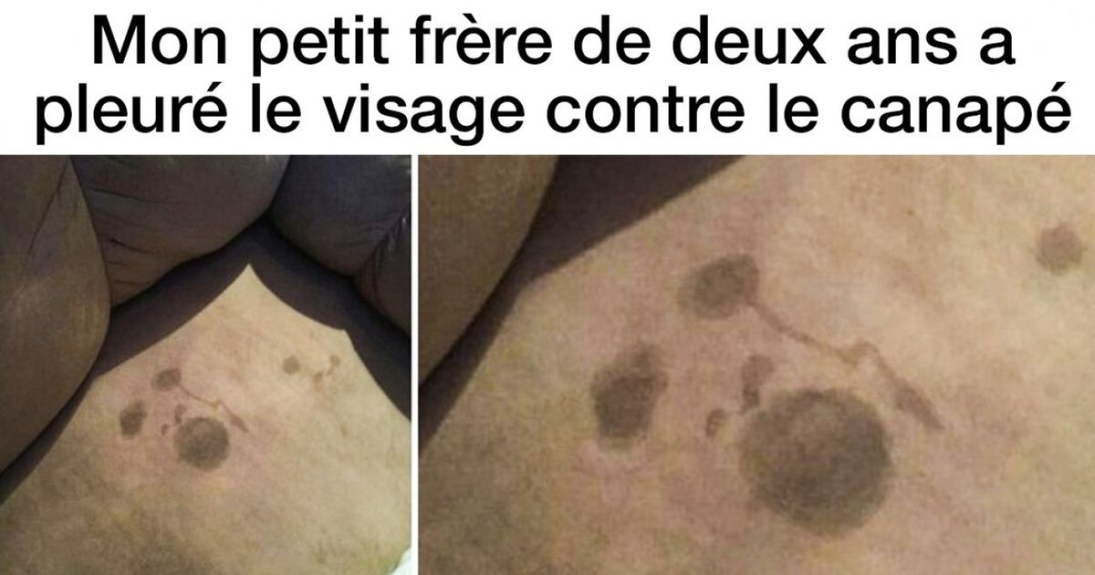 Ces 15 parents peuvent être trop fiers de leurs enfants