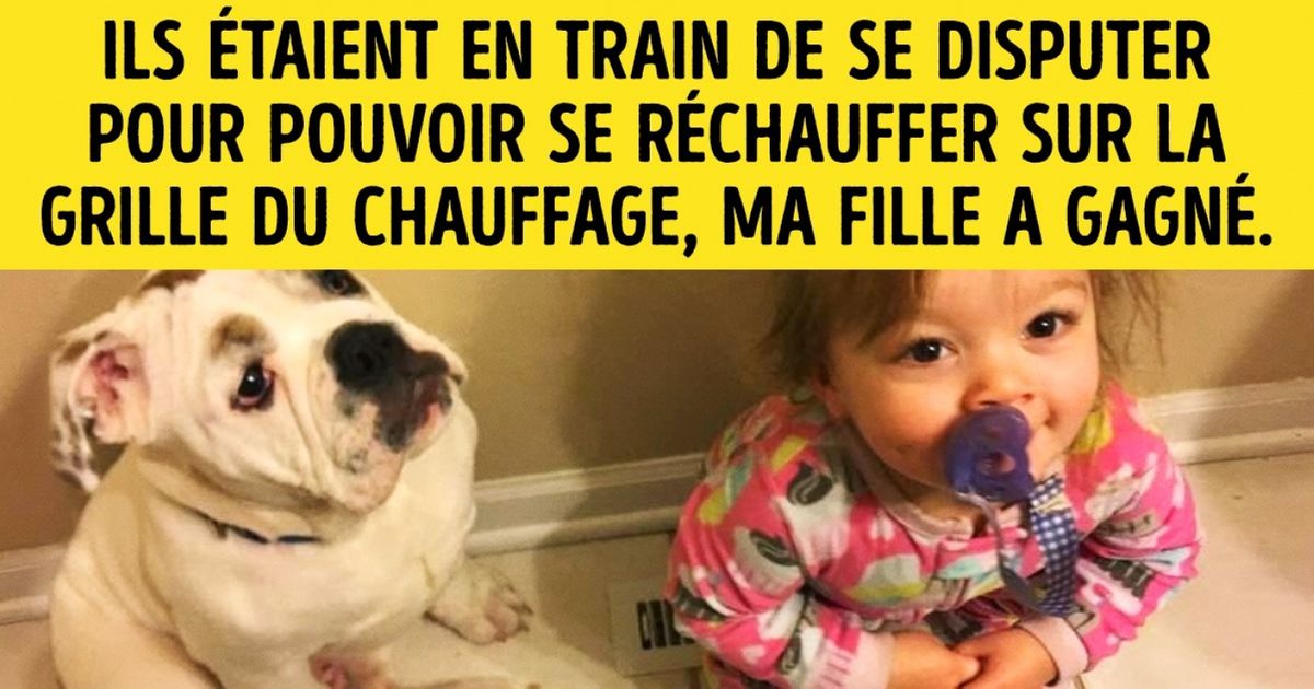 La franchise de ces 23 enfants a séduit Internet