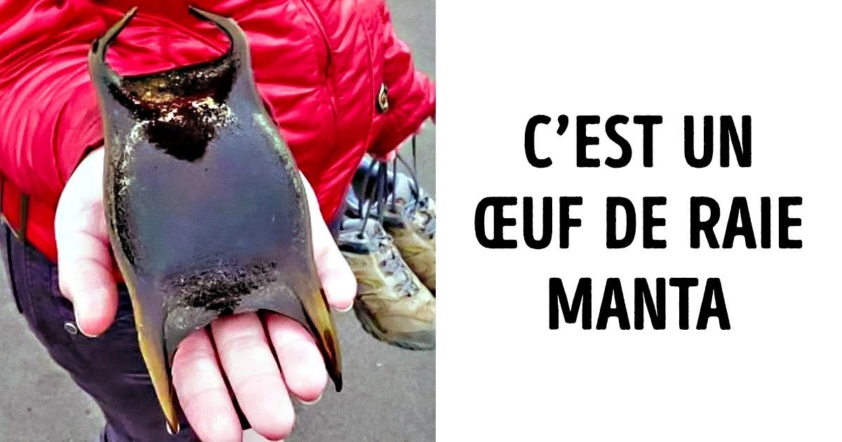 Découvre 15 phénomènes rares que seules quelques personnes ont eu la chance de voir dans leur vie...