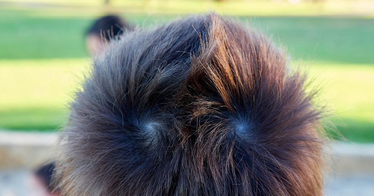 19 Scènes impossibles à imaginer si un appareil photo ne les avait pas capturées 19 Scènes impossibles à imaginer si un appareil photo ne les avait pas capturées