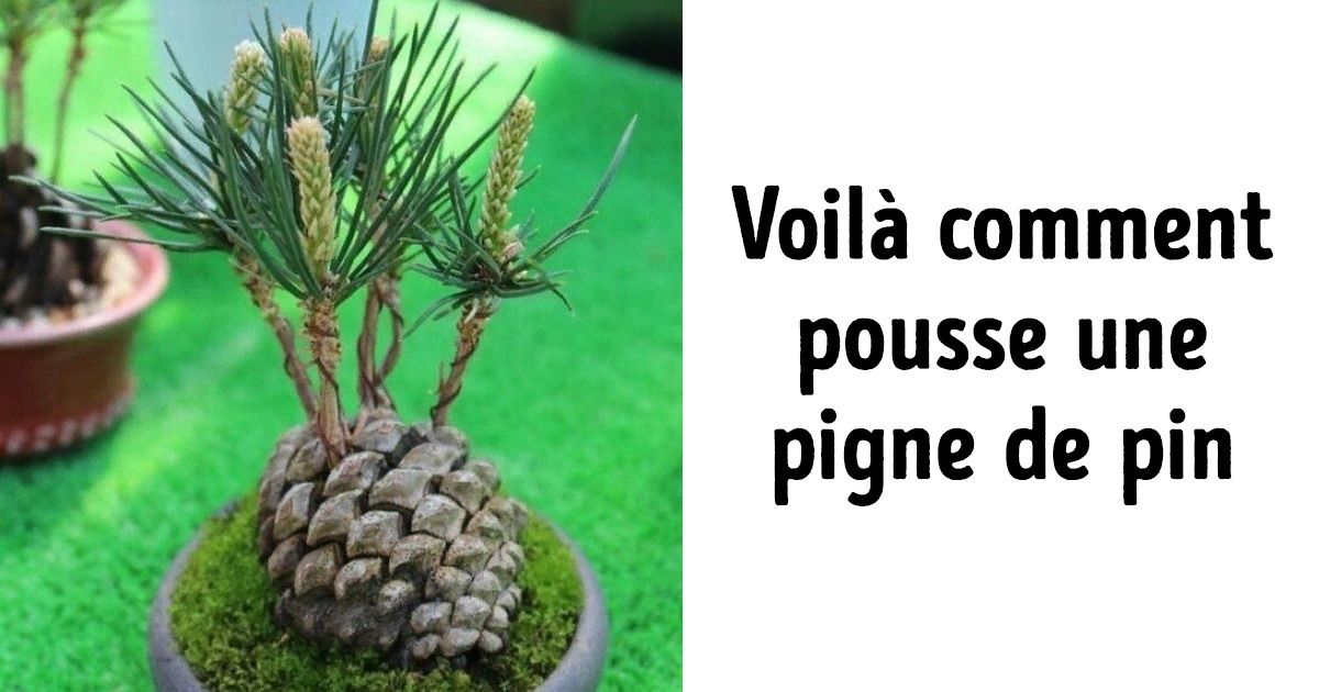 24 Choses dont on a tous entendu parler, mais que peu de personnes ont vues