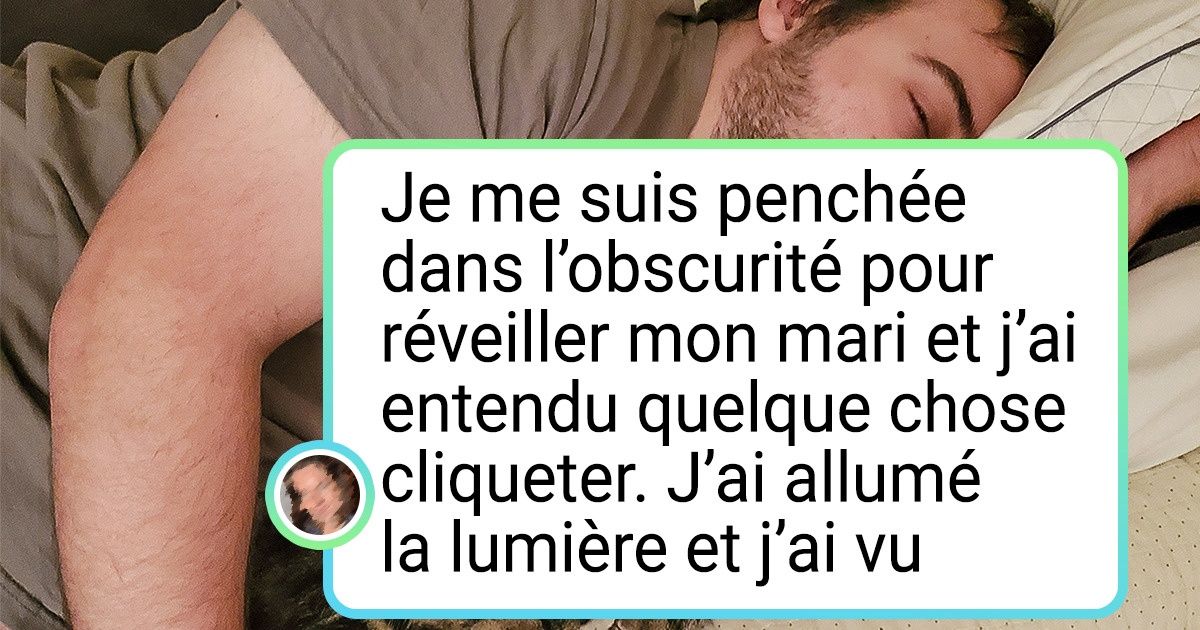 20+ Preuves que les hommes aiment profondément les chats, mêmes s’ils ne l’admettent jamais
