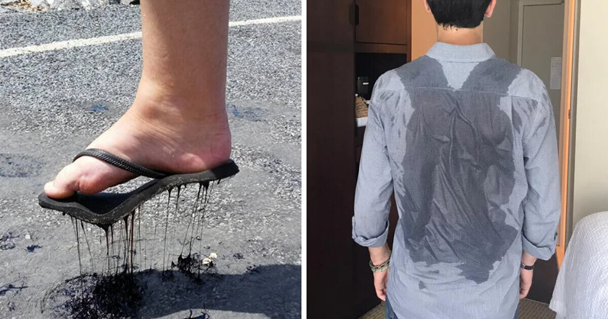 18 Photos qui illustrent les effets saisissants de la chaleur estivale