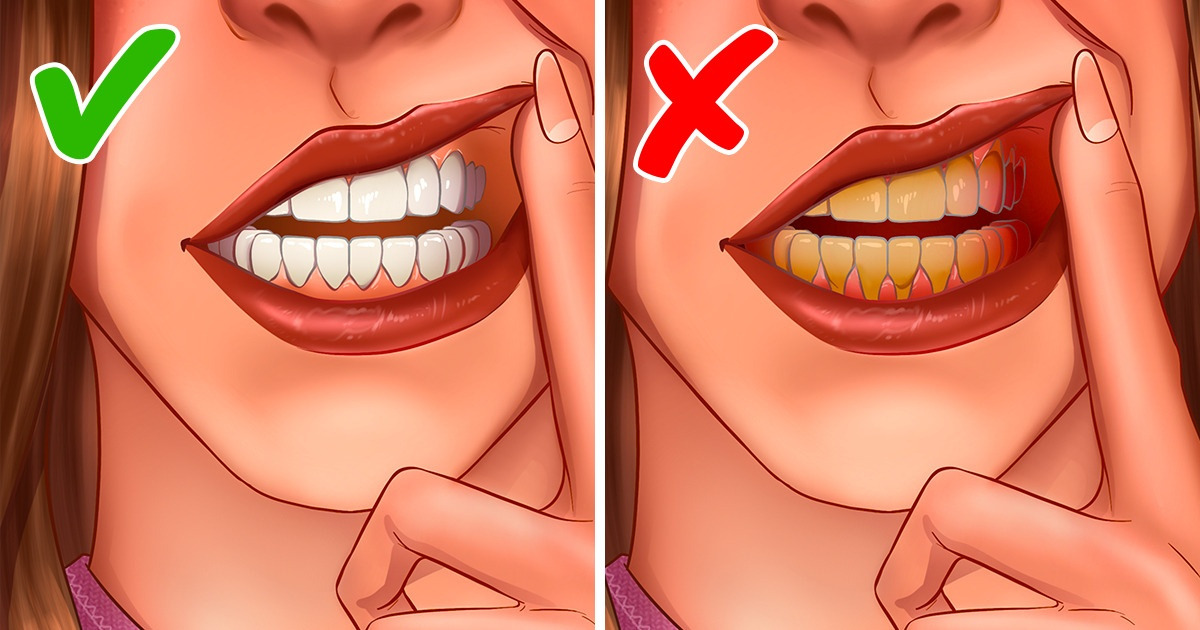 Pourquoi se brosser les dents une seule fois par jour pourrait suffire Pourquoi se brosser les dents une seule fois par jour pourrait suffire