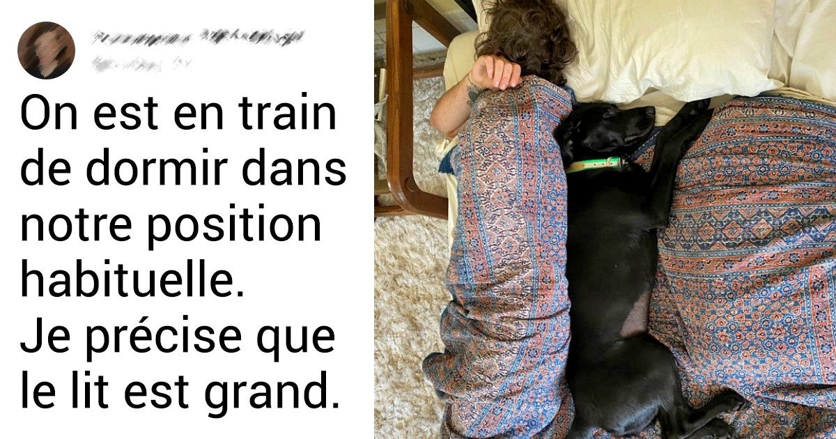 Ces 16 internautes ont été surpris en train de dormir à poings fermés avec leur animal