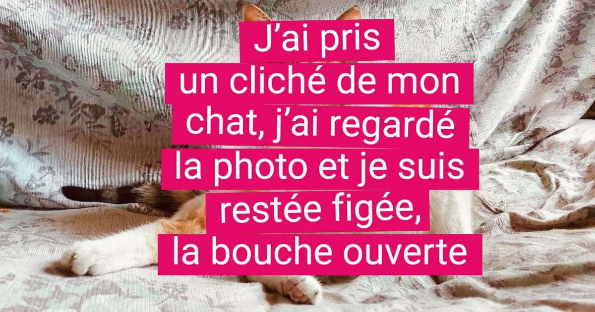 19 Clichés simples qui se sont révélés être des chefs-d’œuvre de la Renaissance